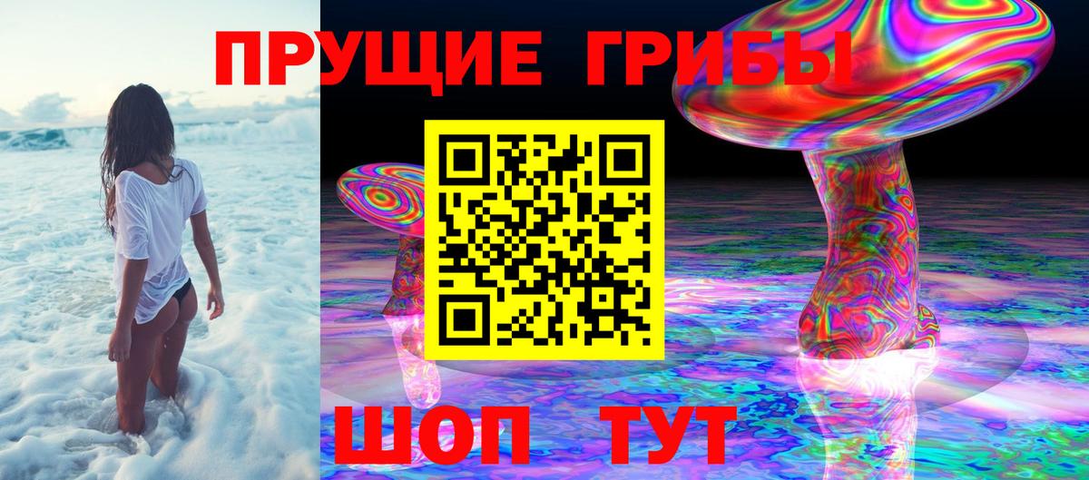 Великие Луки  купить   Вход с VPN  Псилоцибиновые грибы GOLDEN TEACHER 